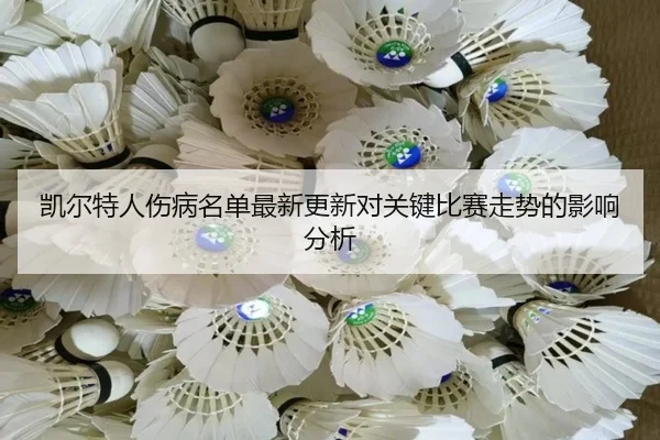 kai-er-te-ren-shang-bing-ming-dan-zui-xin-geng-xin-dui-guan-jian-bi-sai-zou-shi-de-ying-xiang-fen-xi-2-458.jpg