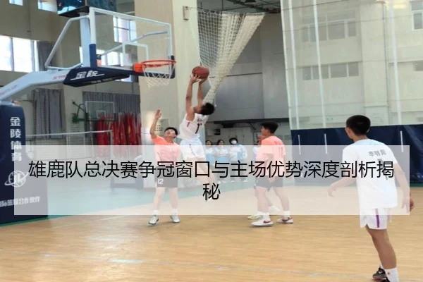雄鹿队总决赛争冠窗口与主场优势深度剖析揭秘